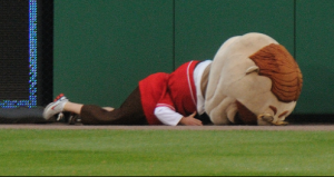 teddydown